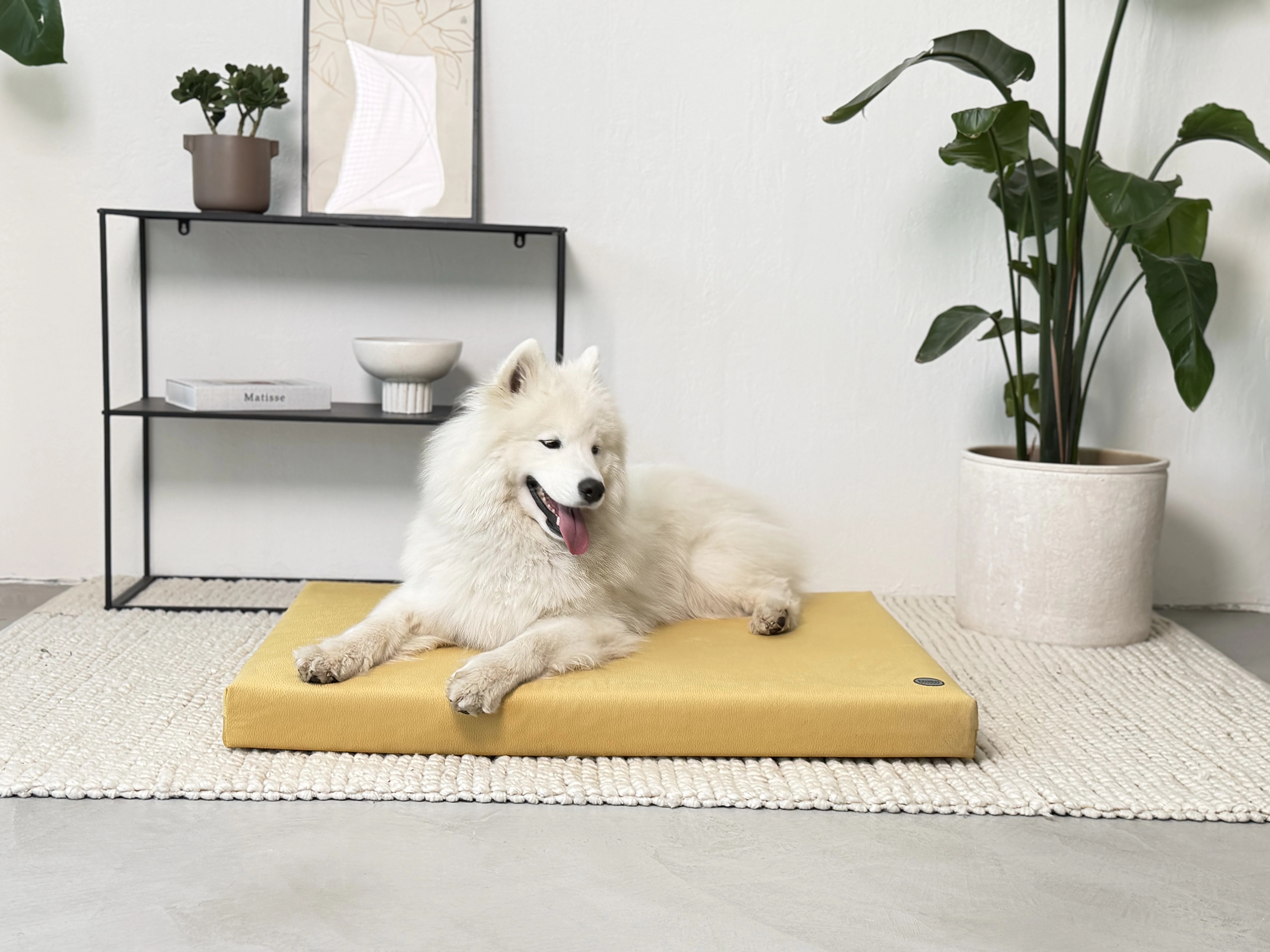 Ortopedická matrace pro psa OrthoComfort Bambol, žlutá 02